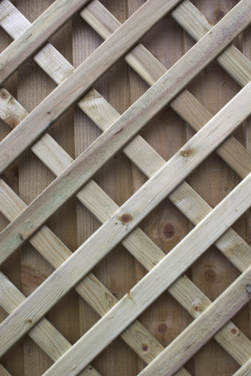 Wooden trellis attached to a fence