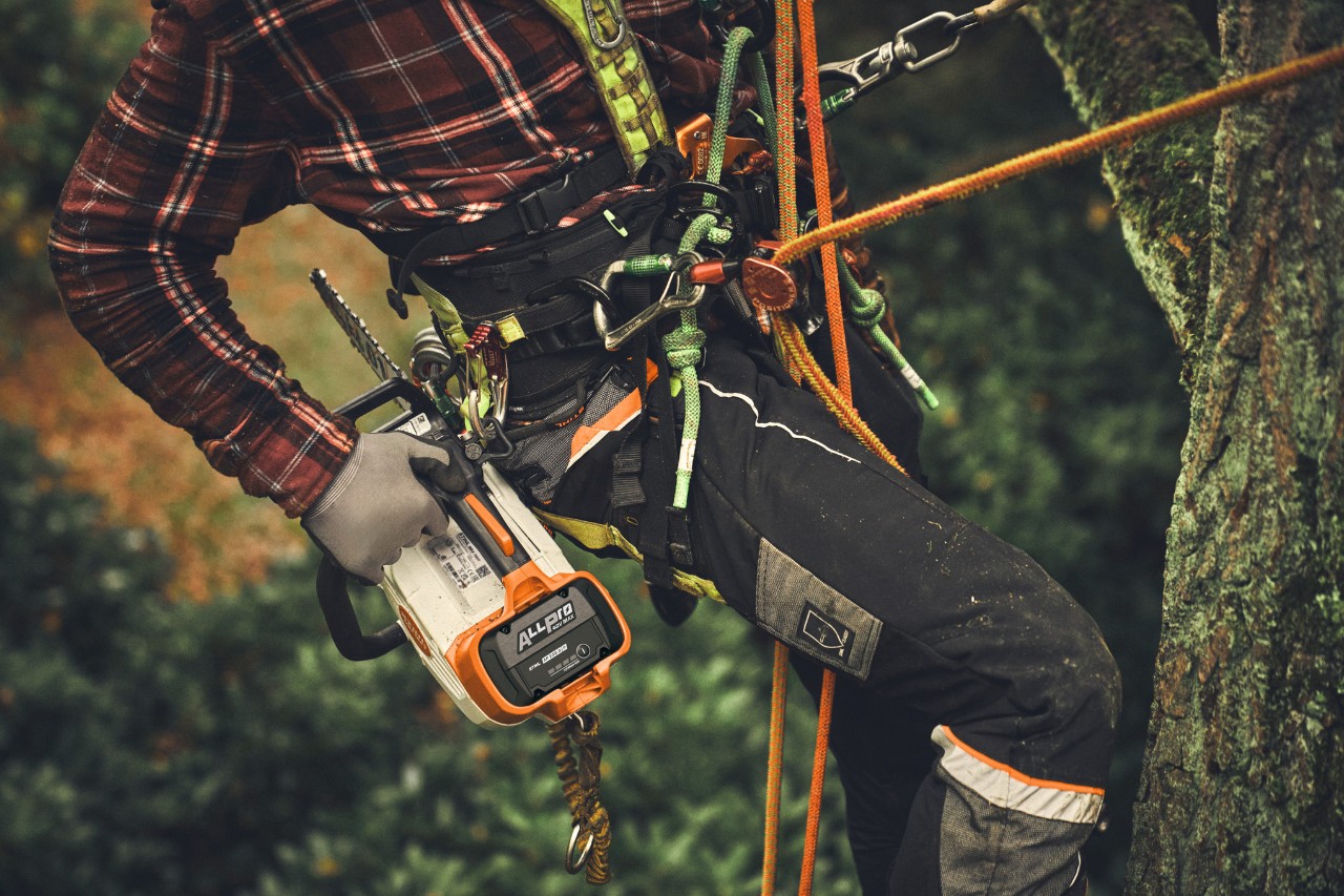 Close-up of a man climbing a tree using a STIHL MSA 190 T cordless chainsaw powered by an ALLPRO battery
