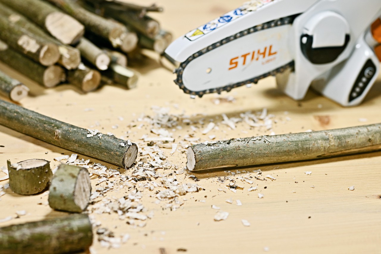 A branch that has been sawn with a STIHL GTA 26 battery pruner in order to make a home decoration